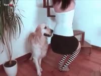Brunette teen having sex with a horny dog